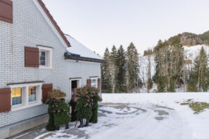 Alpen, Appenzell Ausserrohden, Brauchtum, Ostschweiz, Schweiz, Silvesterchlaus, Silvesterklausen, Suisse, Switzerland, Urnäsch
