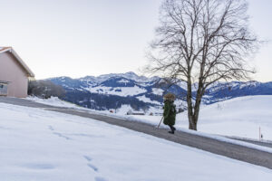 Alpen, Appenzell Ausserrohden, Brauchtum, Ostschweiz, Schweiz, Silvesterchlaus, Silvesterklausen, Suisse, Switzerland, Urnäsch