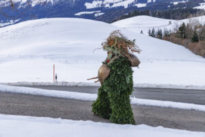 Alpen, Appenzell Ausserrohden, Brauchtum, Ostschweiz, Schweiz, Silvesterchlaus, Silvesterklausen, Suisse, Switzerland, Urnäsch