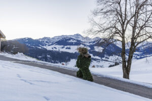 Alpen, Appenzell Ausserrohden, Brauchtum, Ostschweiz, Schweiz, Silvesterchlaus, Silvesterklausen, Suisse, Switzerland, Urnäsch