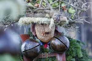 Alpen, Appenzell Ausserrohden, Brauchtum, Ostschweiz, Schweiz, Silvesterchlaus, Silvesterklausen, Suisse, Switzerland, Urnäsch