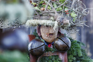 Alpen, Appenzell Ausserrohden, Brauchtum, Ostschweiz, Schweiz, Silvesterchlaus, Silvesterklausen, Suisse, Switzerland, Urnäsch