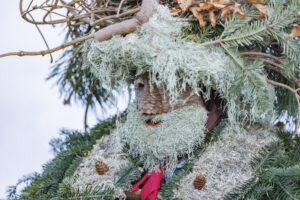 Alpen, Appenzell Ausserrohden, Brauchtum, Ostschweiz, Schweiz, Silvesterchlaus, Silvesterklausen, Suisse, Switzerland, Urnäsch