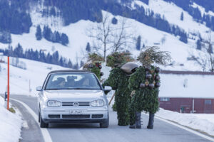 Alpen, Appenzell Ausserrohden, Brauchtum, Ostschweiz, Schweiz, Silvesterchlaus, Silvesterklausen, Suisse, Switzerland, Urnäsch