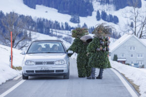 Alpen, Appenzell Ausserrohden, Brauchtum, Ostschweiz, Schweiz, Silvesterchlaus, Silvesterklausen, Suisse, Switzerland, Urnäsch