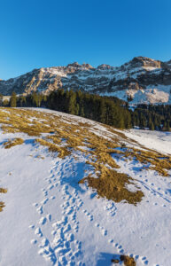 Alpen, Appenzell, Appenzell Ausserrohden, Appenzeller Hinterland, Ostschweiz, Schweiz, Schwägalp, Suisse, Switzerland, Säntis, Säntisbahn, Säntisbahn Säntis, Urnäsch