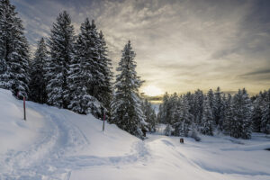 Alpen, Appenzell, Appenzell Ausserrohden, Appenzeller Hinterland, Appenzellerland, Hundwil, Ostschweiz, Schweiz, Schwägalp, Suisse, Switzerland, Säntis, Säntisbahn, Säntisbahn Säntis