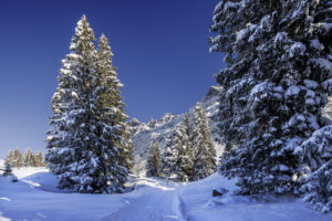 Alpen, Appenzell, Appenzell Ausserrohden, Jahreszeiten, Ostschweiz, Schnee, Schweiz, Schwägalp, Suisse, Switzerland, Säntis, Säntisbahn, Säntisbahn Säntis, Wetter, Winter