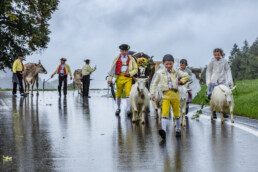 Appenzell, Appenzell Ausserrohden, Appenzeller Hinterland, Ostschweiz, Schweiz, Schönengrund, Sennen, Suisse, Switzerland, Tracht, Viehschau, tradition, Öberefahre