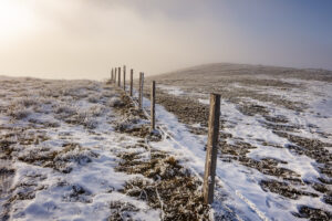 Alp, Schweiz, Suisse, Switzerland, Urnäsch, alps