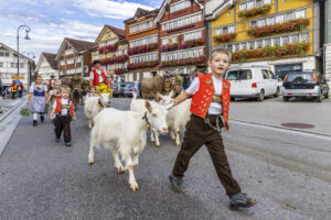 Appenzell, Appenzell Ausserrohden, Appenzeller Hinterland, Autumn, Brauchtum, Fall, Herbst, Kühe, Ostschweiz, Schweiz, Sennen, Suisse, Switzerland, Tracht, Urnaesch, Urnäsch, Viehschau, tradition