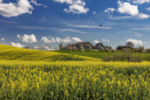 Frühling, Ostschweiz, Schweiz, Spring, Suisse, Switzerland, Säntis, Säntisbahn, Thurgau