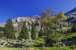 Alpen, Alpstein, Appenzell, Appenzell Ausserrohden, Appenzeller Hinterland, Hundwil, Ostschweiz, Schweiz, Schwägalp, Suisse, Switzerland, Säntis, Säntisbahn, Säntisbahn Säntis