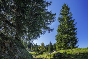 Alpen, Alpstein, Appenzell, Appenzell Ausserrohden, Appenzeller Hinterland, Hundwil, Ostschweiz, Schweiz, Schwägalp, Suisse, Switzerland, Säntis, Säntisbahn, Säntisbahn Säntis