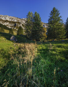 Alpen, Alpstein, Appenzell, Appenzell Ausserrohden, Appenzeller Hinterland, Hundwil, Ostschweiz, Schweiz, Schwägalp, Suisse, Switzerland, Säntis, Säntisbahn, Säntisbahn Säntis