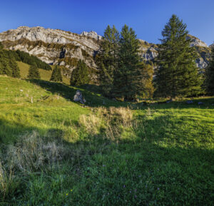 Alpen, Alpstein, Appenzell, Appenzell Ausserrohden, Appenzeller Hinterland, Hundwil, Ostschweiz, Schweiz, Schwägalp, Suisse, Switzerland, Säntis, Säntisbahn, Säntisbahn Säntis