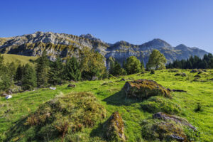 Alpen, Alpstein, Appenzell, Appenzell Ausserrohden, Appenzeller Hinterland, Hundwil, Ostschweiz, Schweiz, Schwägalp, Suisse, Switzerland, Säntis, Säntisbahn, Säntisbahn Säntis
