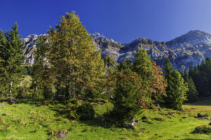 Alpen, Alpstein, Appenzell, Appenzell Ausserrohden, Appenzeller Hinterland, Hundwil, Ostschweiz, Schweiz, Schwägalp, Suisse, Switzerland, Säntis, Säntisbahn, Säntisbahn Säntis