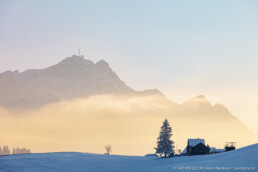 Appenzell, Appenzell Ausserrohden, Jahreszeiten, Schnee, Schweiz, Speicher, Suisse, Switzerland, Säntis, Wetter, Winter