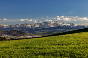 Alpstein, Felder, Frühling, Jahreszeiten, Landscape, Landschaft, Ostschweiz, Schweiz, Spring, St. Gallen, Suisse, Switzerland, Säntis, Säntisbahn, Säntisbahn Säntis