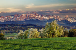 Alpstein, Baum, Felder, Frühling, Jahreszeiten, Landscape, Landschaft, Ostschweiz, Schweiz, Spring, Suisse, Switzerland, Säntis, Säntisbahn, Säntisbahn Säntis, Thurgau