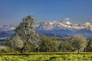 Alpstein, Baum, Felder, Frühling, Jahreszeiten, Landscape, Landschaft, Ostschweiz, Schweiz, Spring, Suisse, Switzerland, Säntis, Säntisbahn, Säntisbahn Säntis, Thurgau