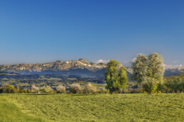Alpstein, Baum, Felder, Frühling, Jahreszeiten, Landscape, Landschaft, Ostschweiz, Schweiz, Spring, Suisse, Switzerland, Säntis, Säntisbahn, Säntisbahn Säntis, Thurgau
